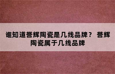 谁知道誉辉陶瓷是几线品牌？ 誉辉陶瓷属于几线品牌